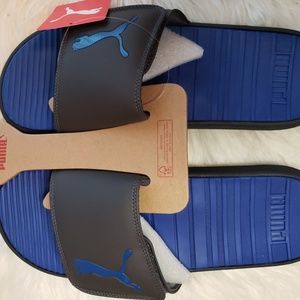 cool cat sport v slides